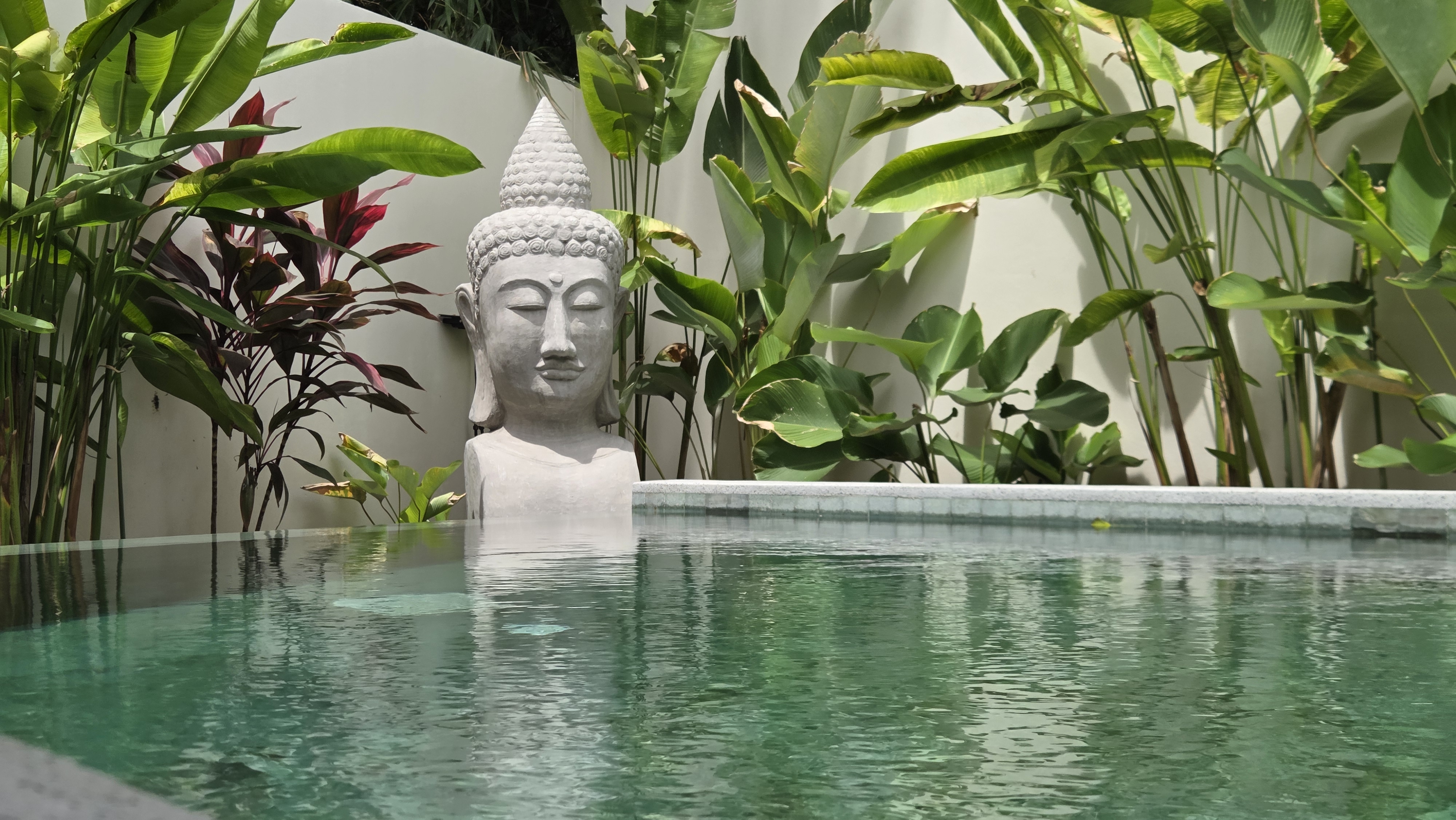 Buddha statue in the salt-water pool at Pool Villa Lamai surrounded by tropical plants, Koh Samui