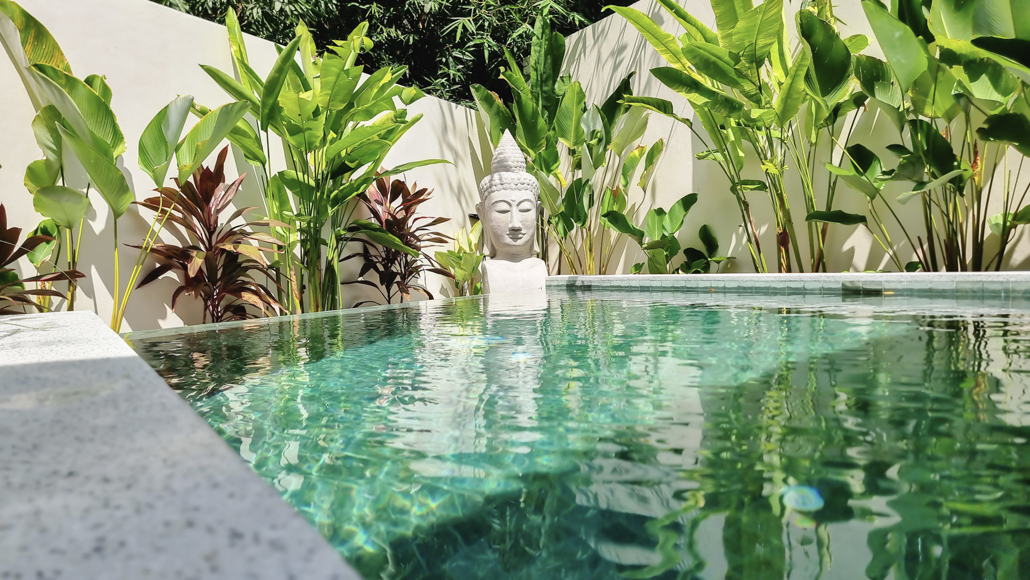 Salt-water infinity pool with tropical garden and Buddha statue at Pool Villa Lamai, Koh Samui